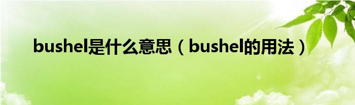 bushel是什么意思（bushel的用法）