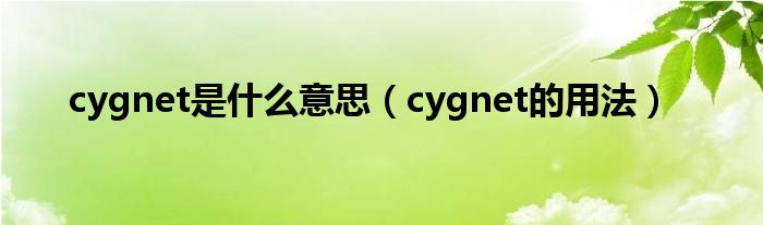 cygnet是什么意思（cygnet的用法）