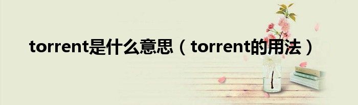 torrent是什么意思（torrent的用法）