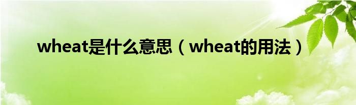 wheat是什么意思（wheat的用法）