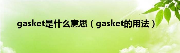 gasket是什么意思（gasket的用法）