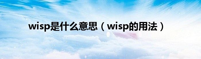 wisp是什么意思（wisp的用法）