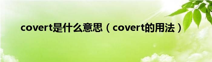 covert是什么意思（covert的用法）