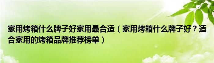 家用烤箱什么牌子好家用最合适（家用烤箱什么牌子好？适合家用的烤箱品牌推荐榜单）