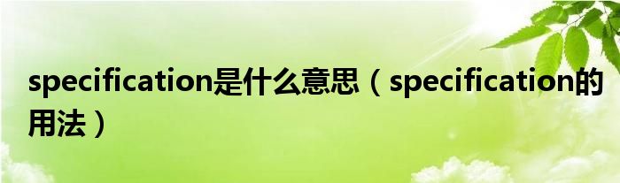 specification是什么意思（specification的用法）