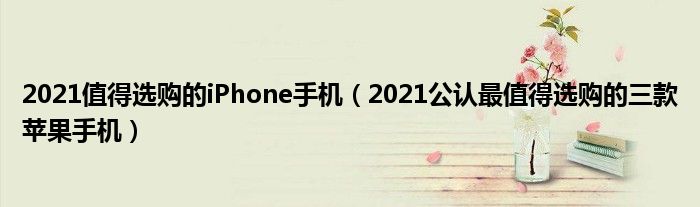 2021值得选购的iPhone手机（2021公认最值得选购的三款苹果手机）