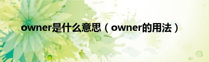 owner是什么意思（owner的用法）