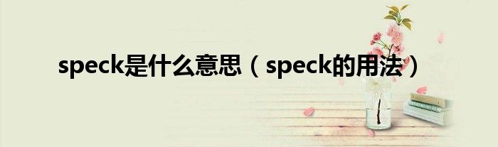 speck是什么意思（speck的用法）