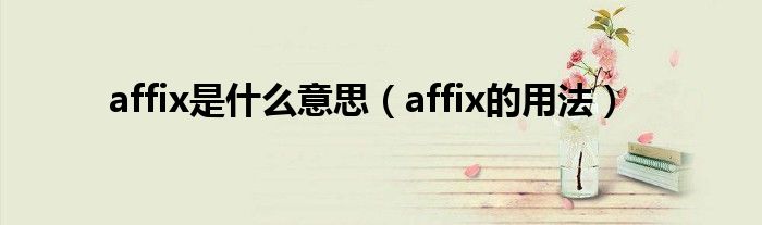 affix是什么意思（affix的用法）