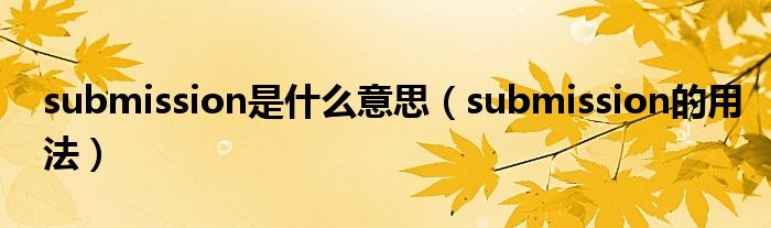 submission是什么意思（submission的用法）