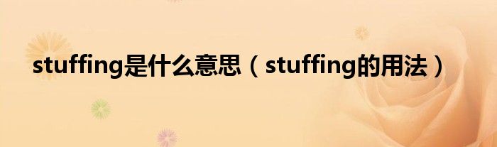 stuffing是什么意思（stuffing的用法）