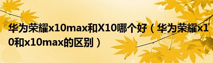 华为荣耀x10max和X10哪个好（华为荣耀x10和x10max的区别）