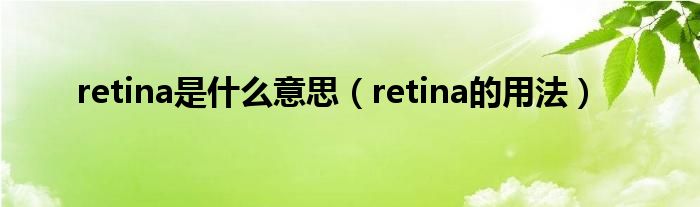 retina是什么意思（retina的用法）