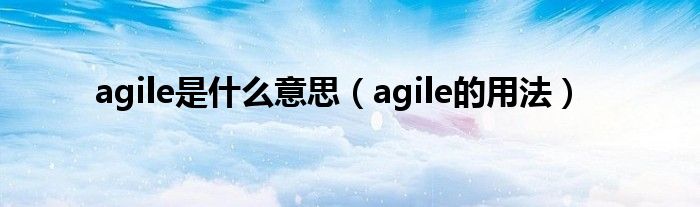 agile是什么意思（agile的用法）