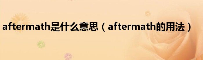 aftermath是什么意思（aftermath的用法）