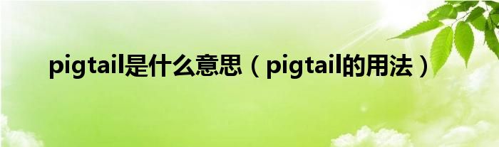 pigtail是什么意思（pigtail的用法）