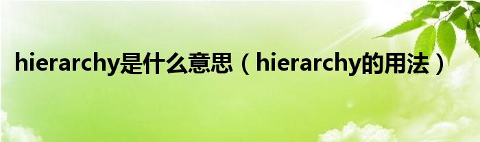 hierarchy是什么意思（hierarchy的用法）