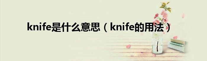 knife是什么意思（knife的用法）