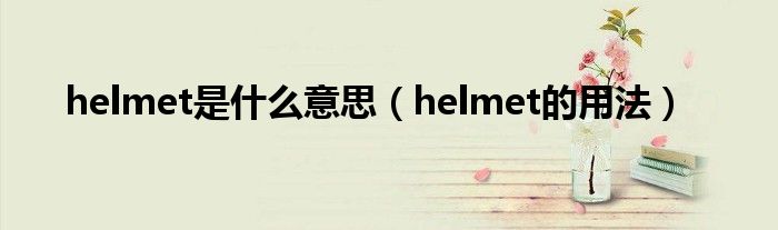 helmet是什么意思（helmet的用法）