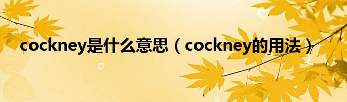 cockney是什么意思（cockney的用法）