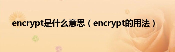 encrypt是什么意思（encrypt的用法）