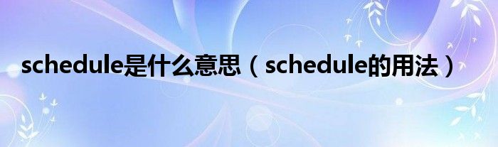 schedule是什么意思（schedule的用法）