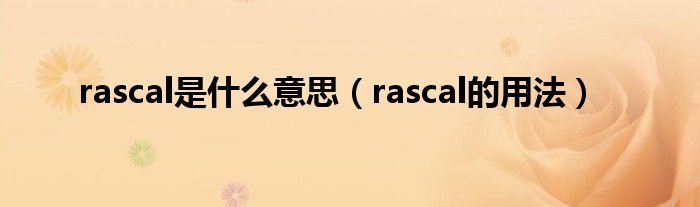 rascal是什么意思（rascal的用法）