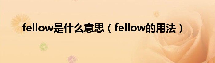 fellow是什么意思（fellow的用法）