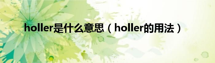 holler是什么意思（holler的用法）