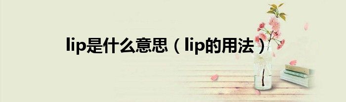 lip是什么意思（lip的用法）