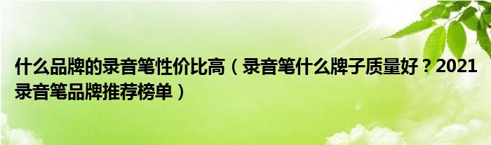 什么品牌的录音笔性价比高（录音笔什么牌子质量好？2021录音笔品牌推荐榜单）