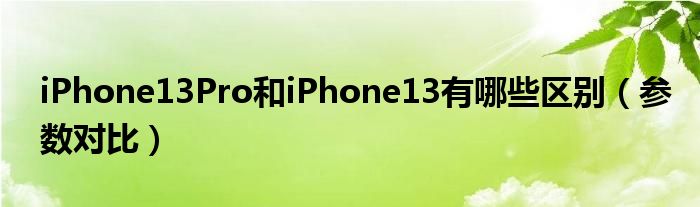 iPhone13Pro和iPhone13有哪些区别（参数对比）