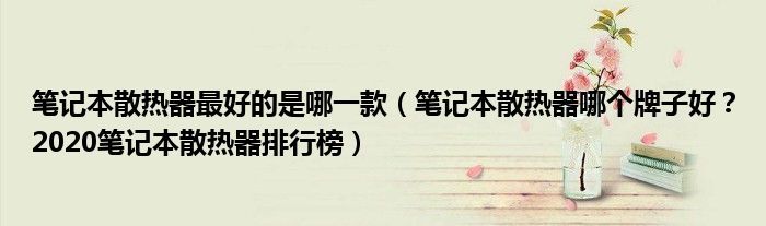 笔记本散热器最好的是哪一款（笔记本散热器哪个牌子好？2020笔记本散热器排行榜）