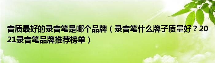 音质最好的录音笔是哪个品牌（录音笔什么牌子质量好？2021录音笔品牌推荐榜单）