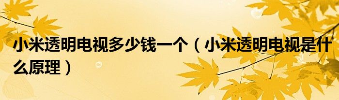 小米透明电视多少钱一个（小米透明电视是什么原理）