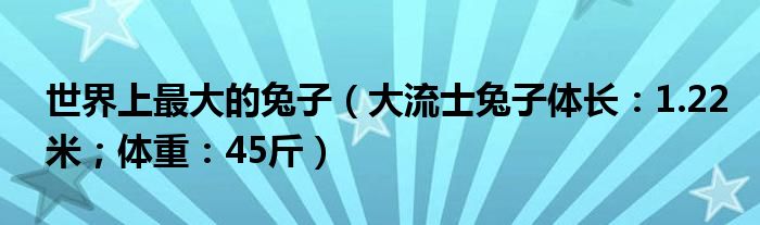 世界上最大的兔子（大流士兔子体长：1.22米；体重：45斤）