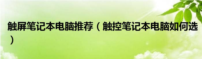 触屏笔记本电脑推荐（触控笔记本电脑如何选）