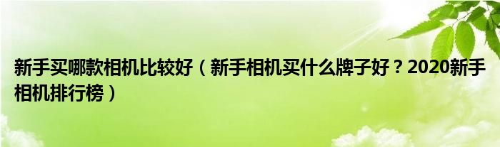 新手买哪款相机比较好（新手相机买什么牌子好？2020新手相机排行榜）