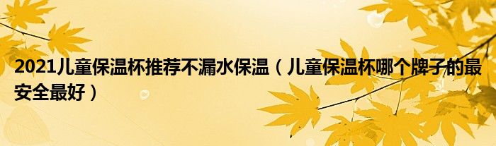 2021儿童保温杯推荐不漏水保温（儿童保温杯哪个牌子的最安全最好）