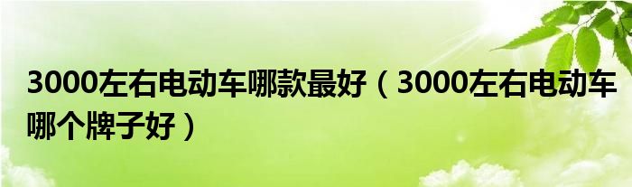 3000左右电动车哪款最好（3000左右电动车哪个牌子好）