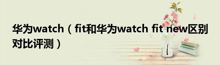 华为watch（fit和华为watch fit new区别 对比评测）