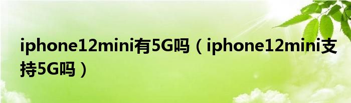 iphone12mini有5G吗（iphone12mini支持5G吗）