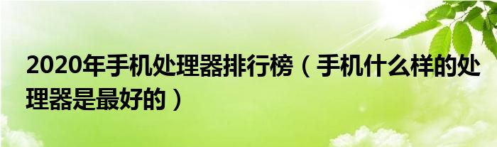 2020年手机处理器排行榜（手机什么样的处理器是最好的）