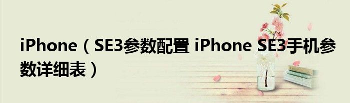 iPhone（SE3参数配置 iPhone SE3手机参数详细表）