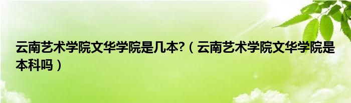 云南艺术学院文华学院是几本?（云南艺术学院文华学院是本科吗）