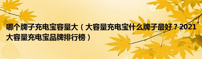 哪个牌子充电宝容量大（大容量充电宝什么牌子最好？2021大容量充电宝品牌排行榜）