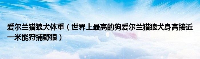 爱尔兰猎狼犬体重（世界上最高的狗爱尔兰猎狼犬身高接近一米能狩捕野狼）