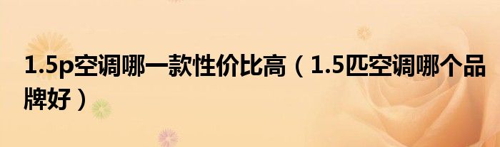 1.5p空调哪一款性价比高（1.5匹空调哪个品牌好）