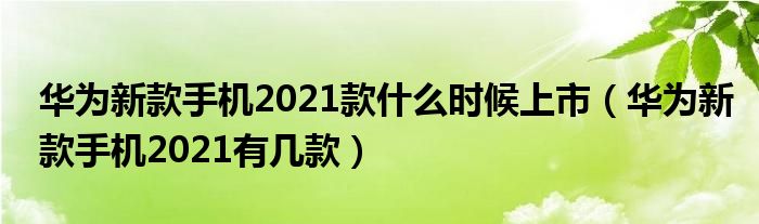 华为新款手机2021款什么时候上市（华为新款手机2021有几款）