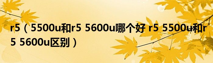 r5（5500u和r5 5600u哪个好 r5 5500u和r5 5600u区别）